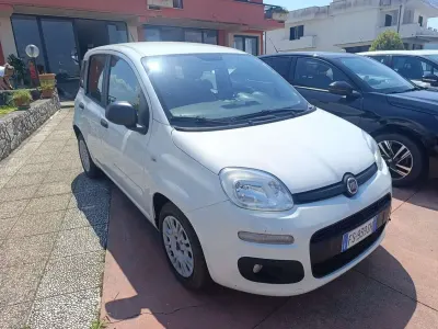 Usata Fiat Panda Easy 80 CV (58 kW) 2018 Other Utilitaria