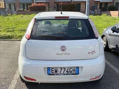 Usata Fiat Punto Lounge 69 CV (50 kW) 2014 Utilitaria