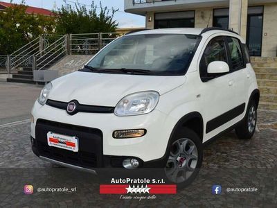 usata Fiat Panda 4x4 1.3 Mjt 16v 75Cv - ELD/5°Posto