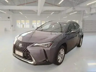 Usata Lexus UX 250h