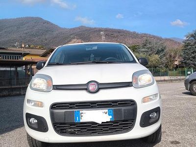 Usata Fiat Panda 4x4 85 CV (62 kW) 2019 Bianco Utilitaria