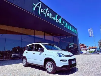 Usata Fiat Panda 69 CV (50 kW) 2023 Bianco Utilitaria