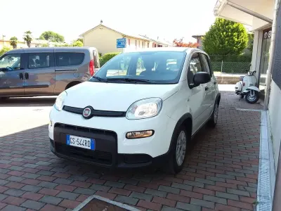 Usata Fiat Panda S 69 CV (50 kW) 2024 Bianco Utilitaria