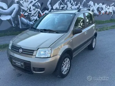 Usata Fiat Panda 4x4 60 CV (44 kW) 2009 Beige Utilitaria