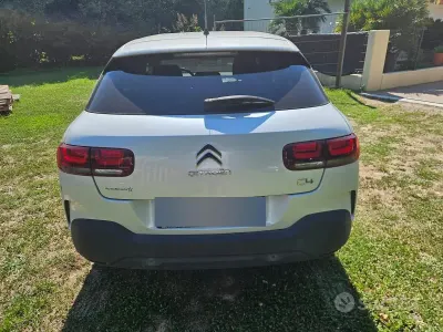 Usata Citroën C4 Cactus 110 CV (80 kW) 2022 Bianco Utilitaria