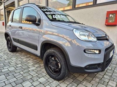 Usata Fiat Panda 4x4 Wild 86 CV (63 kW) 2023 Grigio / pastello Utilitaria