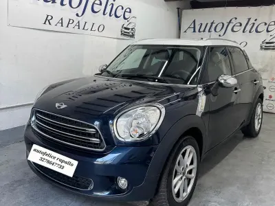 Usata Mini Park Lane Countryman