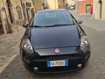 usata Fiat Punto Punto 1.2 8V 5 porte Young