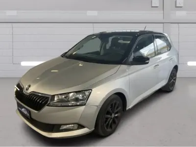 Usata Skoda Fabia