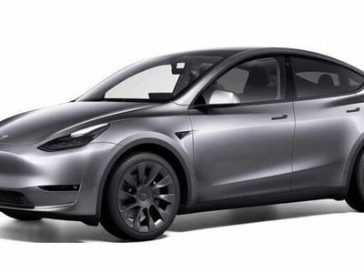 usata Tesla Model Y Long Range AWD Autopilot Massimo Potenziale