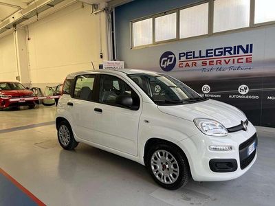 Usata Fiat Panda S 69 CV (50 kW) 2021 Bianco Utilitaria