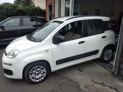 usata Fiat Panda Panda 1.2