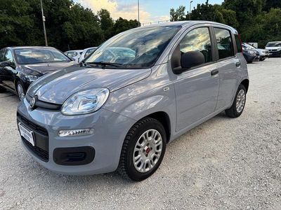 Usata Fiat Panda Easy 69 CV (50 kW) 2020 Grigio Utilitaria