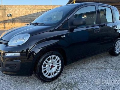 Usata Fiat Panda Lounge 69 CV (50 kW) 2020 Nero Utilitaria