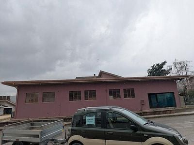 Usata Fiat Panda Cross 95 CV (69 kW) 2008 Verde Utilitaria