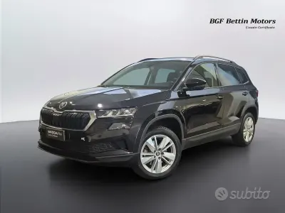Usata Skoda Karoq