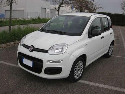 Usata Fiat Panda Easy 69 CV (50 kW) 2020 Bianco Utilitaria