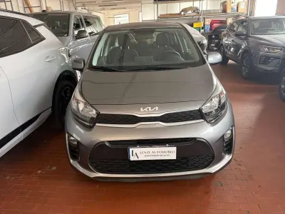 Usata Kia Picanto Urban 67 CV (49 kW) 2023 Grigio Utilitaria
