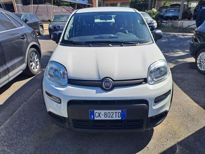 usata Fiat Panda 3ª serie 1.0 FireFly S&S Hybrid City Life