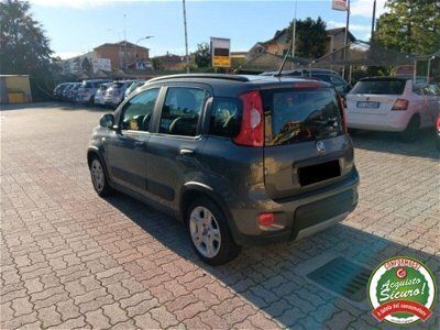 usata Fiat Panda Cross 1.0 FireFly S&S Hybrid City usato