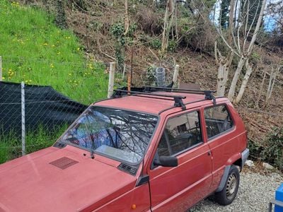 Usata Fiat Panda 45 CV (33 kW) 2003 Rosso Utilitaria