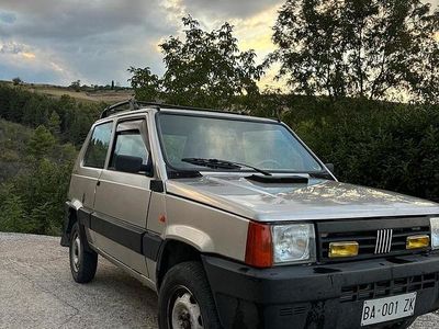 Usata Fiat Panda 4x4 54 CV (39 kW) 1998 Grigio Utilitaria