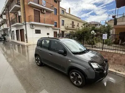 Usata Fiat Panda Cross Cross 69 CV (50 kW) 2020 Utilitaria