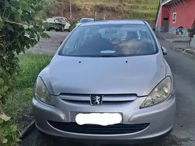 Usata Peugeot 307