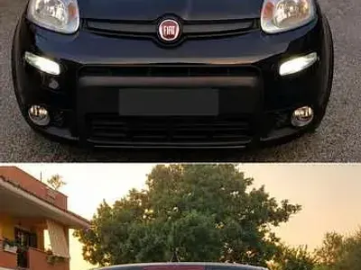 Usata Fiat Panda Sport 69 CV (50 kW) 2021 Utilitaria