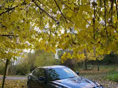 Second-hand Alfa Romeo Giulia 150 CP (110 kW) 2017 Berlinǎ