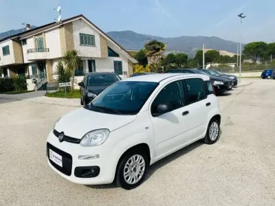 Usata Fiat Panda 69 CV (50 kW) 2019 Bianco Utilitaria