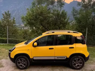 Usata Fiat Panda Cross