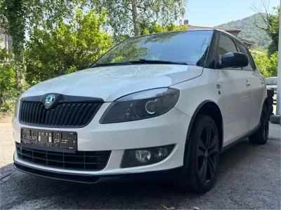 Usata Skoda Fabia