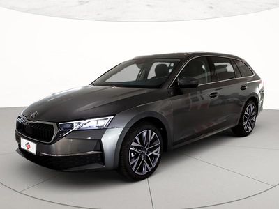 Usata Skoda Octavia Executive 150 CV (110 kW) 2025 Grigio graphite metallizzato Station wagon