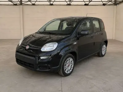 Usata Fiat Panda