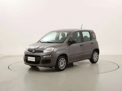 Usata Fiat Panda