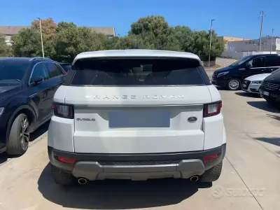 Usata Land Rover Range Rover evoque 150 CV (110 kW) 2017 Bianco Station wagon