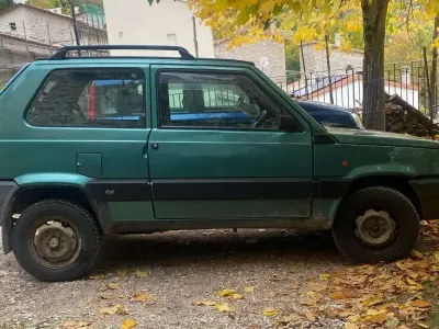 Usata Fiat Panda 4x4