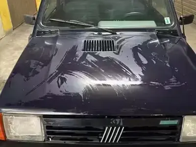 Usata Fiat Panda 4x4