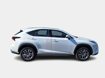 usata Lexus NX300h Hybrid Business 4WD