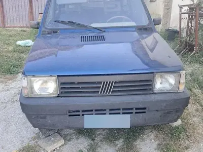 Usata Fiat Panda 4x4 54 CV (39 kW) 2000 Bluazzurro Utilitaria