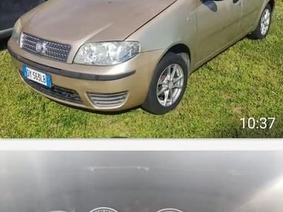 Usata Fiat Punto Active 77 CV (56 kW) 2009 Utilitaria
