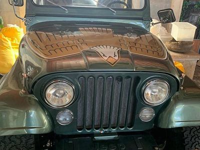Usata Jeep Wrangler 1970 Verde SUV