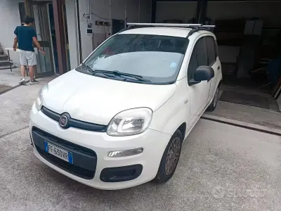 Usata Fiat Panda Pop 69 CV (50 kW) 2016 Bianco Utilitaria