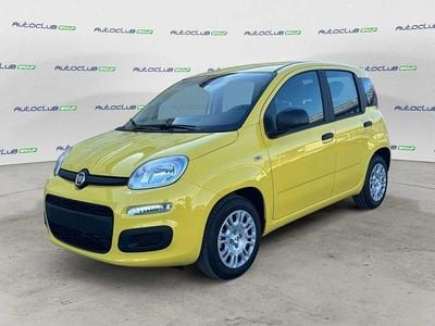 Nuova Fiat Panda Icon 70 CV (51 kW) 2025 Giallo Utilitaria