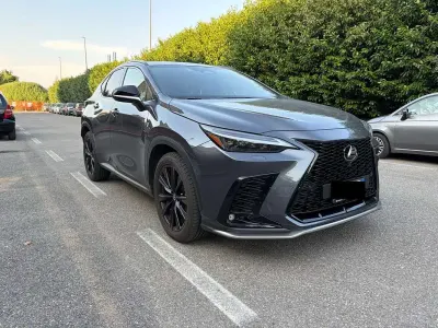 Usata Lexus NX350h Sport Line 243 CV (178 kW) 2024 Grigio SUV