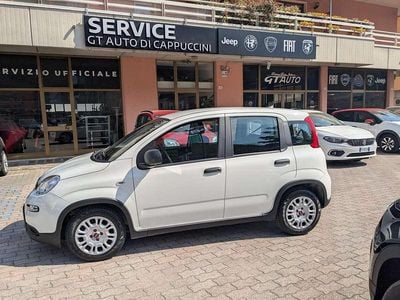 Usata Fiat Panda S 69 CV (50 kW) 2024 Bianco Utilitaria