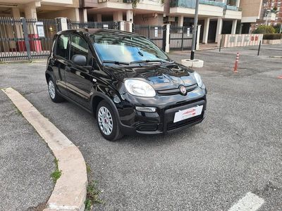Usata Fiat Panda City Life 70 CV (51 kW) 2023 Nero Utilitaria