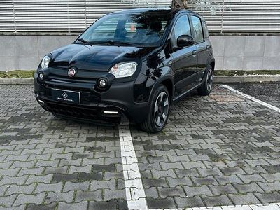 Usata Fiat Panda 2019 Utilitaria