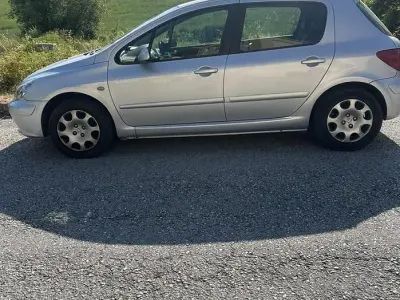 Usata Peugeot 307 109 CV (80 kW) 2004 Grigio Utilitaria